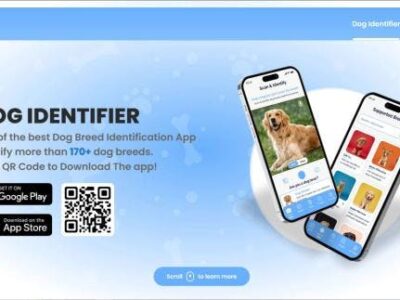 Dog Identifier