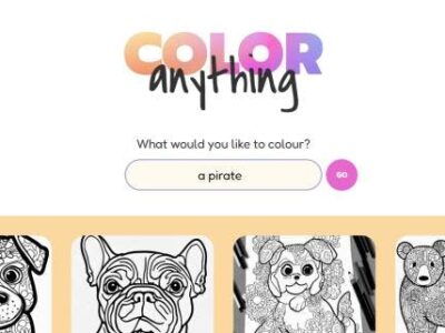 Color Anything