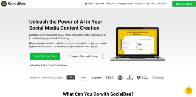 SocialBee